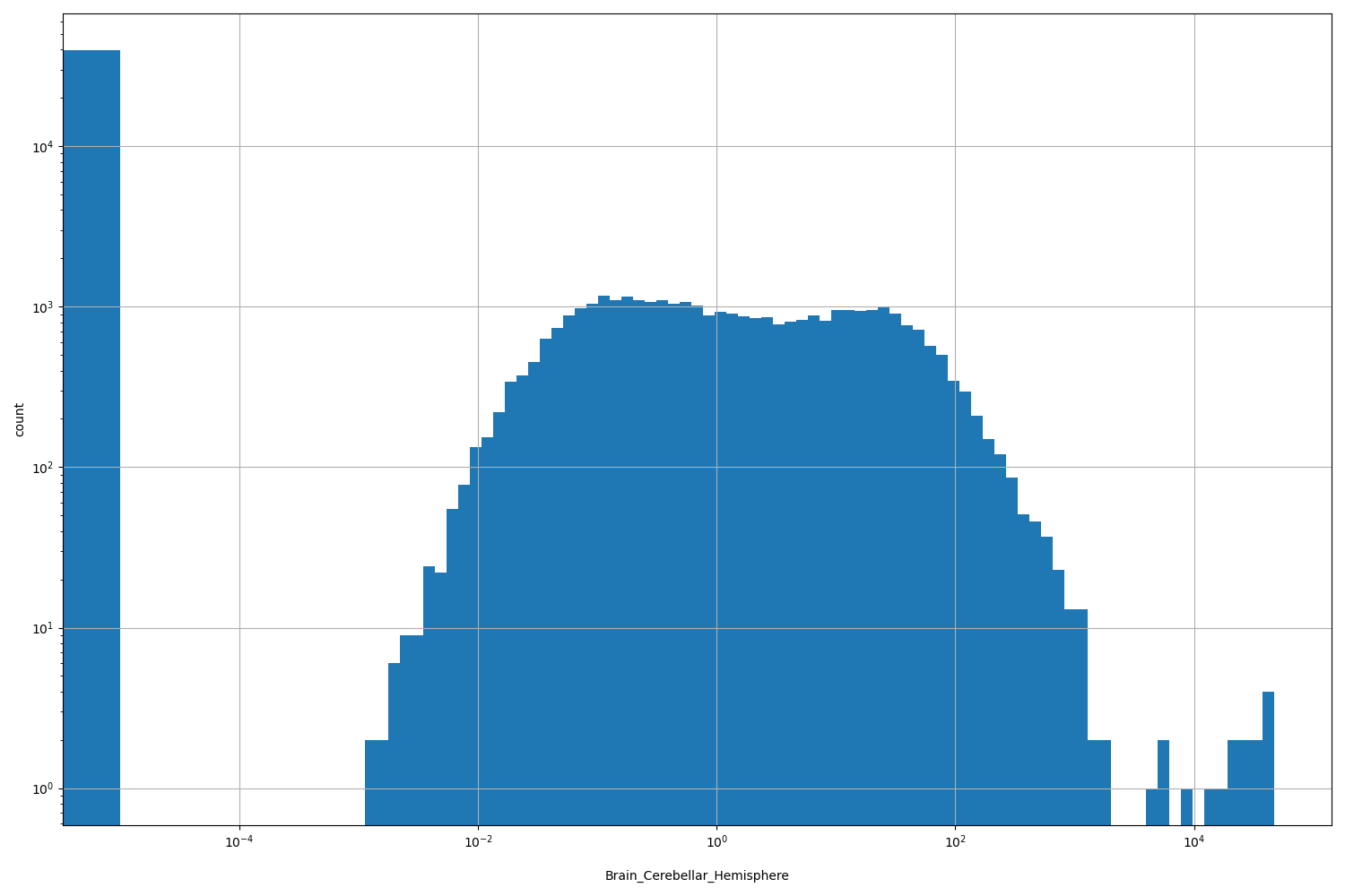Brain_Cerebellar_Hemisphere