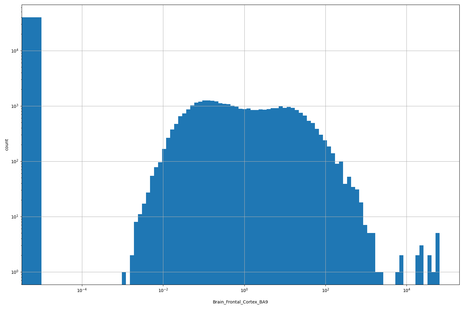 Brain_Frontal_Cortex_BA9