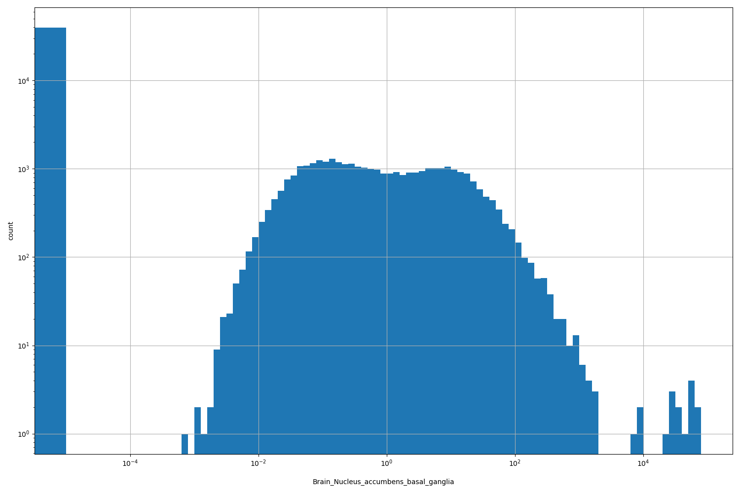 Brain_Nucleus_accumbens_basal_ganglia