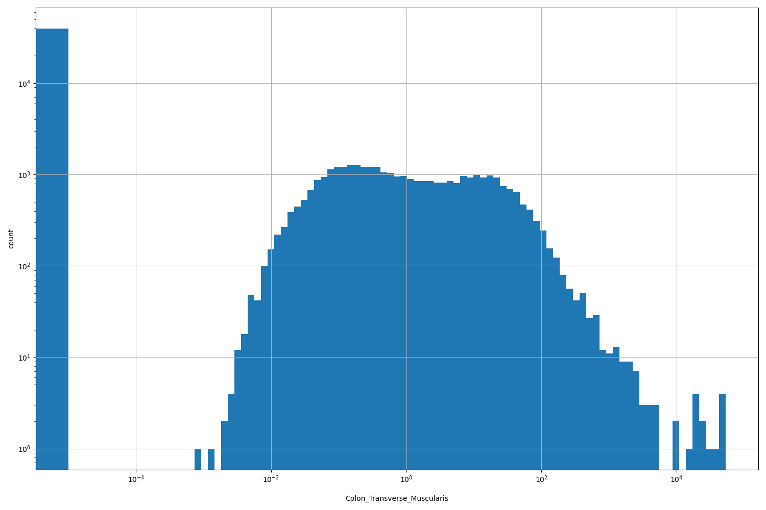 Colon_Transverse_Muscularis