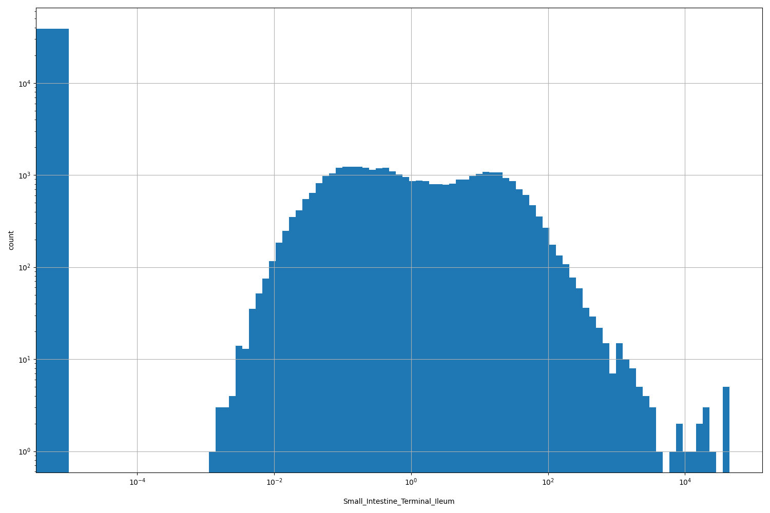 Small_Intestine_Terminal_Ileum