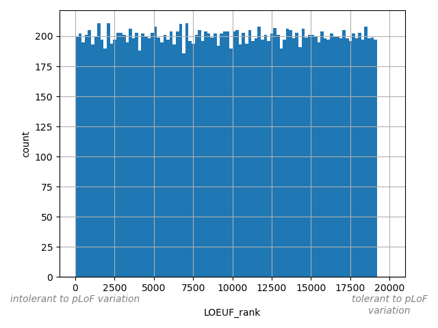 HISTOGRAM