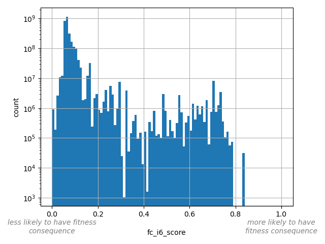 HISTOGRAM