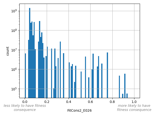 FitCons2_E026 HISTOGRAM FOR FitCons2_E026