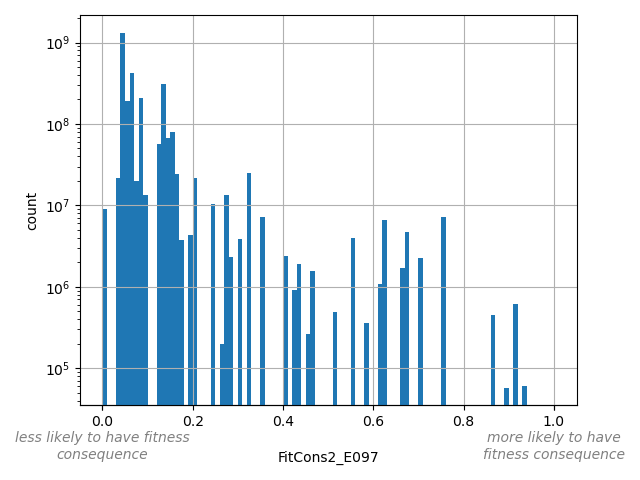 FitCons2_E097 HISTOGRAM FOR FitCons2_E097
