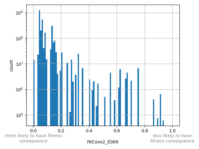 HISTOGRAM