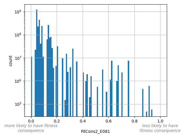 HISTOGRAM
