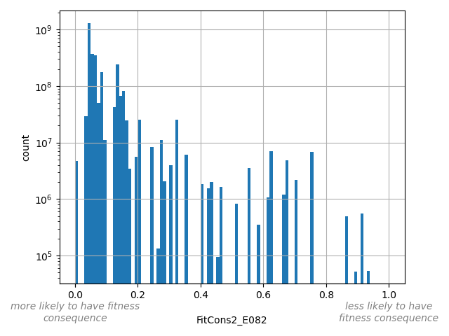 HISTOGRAM