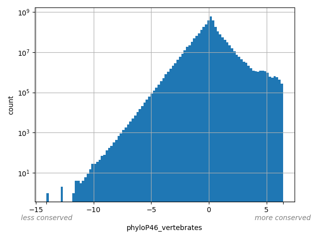 HISTOGRAM FOR phyloP46_vertebrates