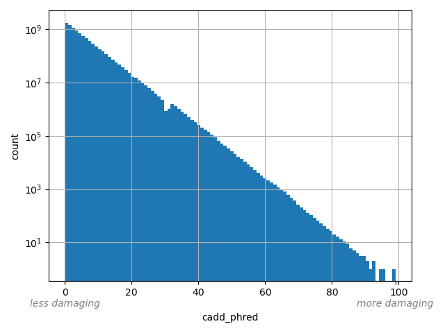 HISTOGRAM FOR cadd_phred
