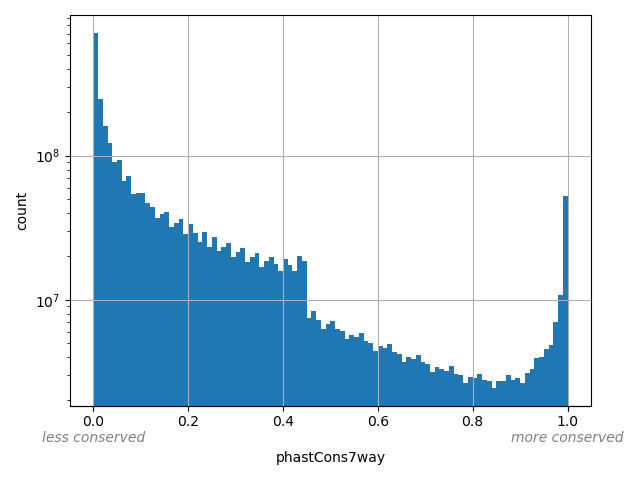 HISTOGRAM